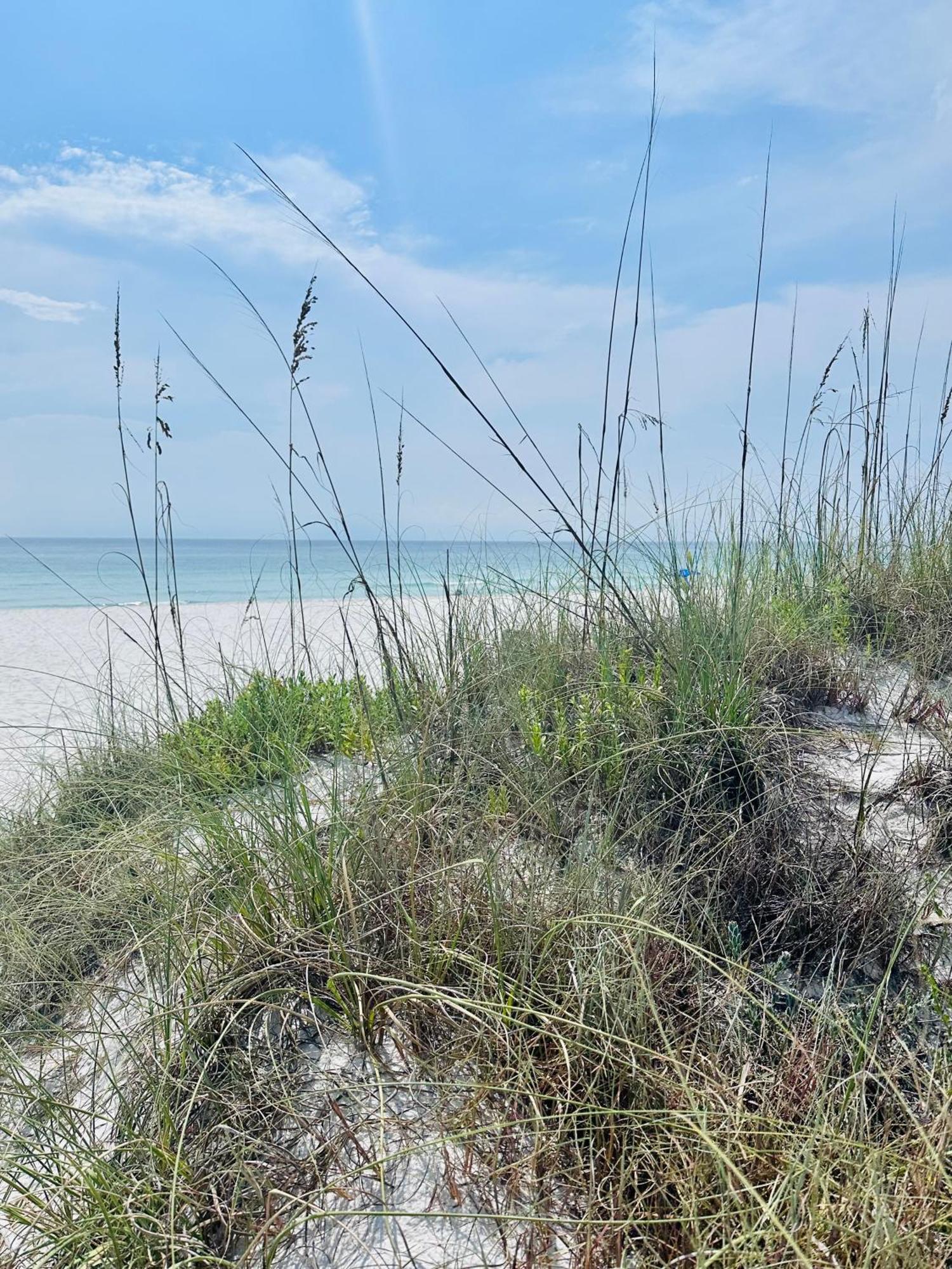 Sea Salt Vacation Home, Private Pool - Walk To Beach Panama City Beach Bagian luar foto
